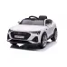 Audi E-Tron 4x4