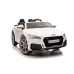 Otroški električni avto Audi TT RS