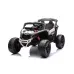 Otroški Buggy Can-am DK-CA003, 24V, 800W (zelen, oranžen, moder, rdeč, pink, bel, rumen)