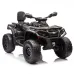 Štirikolesnik Can Am Outlander 4x4 DK-CA005 800W