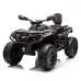 Štirikolesnik Can Am Outlander 4x4 DK-CA005 800W
