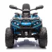 Štirikolesnik Can Am Outlander 4x4 DK-CA005 800W