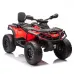 Štirikolesnik Can Am Outlander 4x4 DK-CA005 800W