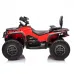 Štirikolesnik Can Am Outlander 4x4 DK-CA005 800W