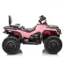Štirikolesnik Can Am Outlander 4x4 DK-CA005 800W