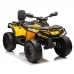 Štirikolesnik Can Am Outlander 4x4 DK-CA005 800W
