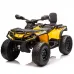 Štirikolesnik Can Am Outlander 4x4 DK-CA005 800W