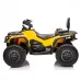 Štirikolesnik Can Am Outlander 4x4 DK-CA005 800W