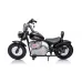 Otroški motor A9902 na akumulator 36V, 350W (moder, rdeč, roza, zelen, črn, bel, bež)