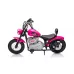 Otroški motor A9902 na akumulator 36V, 350W (moder, rdeč, roza, zelen, črn, bel, bež)