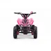 Otroški bencinski štirikolesnik 50cc Beneo Motors MTX