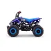 Otroški bencinski štirikolesnik 50cc Beneo Motors MTX