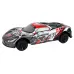 Daljinsko voden RC avto sports 1 8 sivi beli 14143