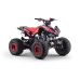 Mladinski bencinski štirikolesnik 125cc Beneo Motors ZXT