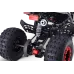 Mladinski bencinski štirikolesnik 125cc Beneo Motors ZXT