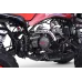 Mladinski bencinski štirikolesnik 125cc Beneo Motors ZXT