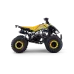 Mladinski bencinski štirikolesnik 125cc Beneo Motors ZXT