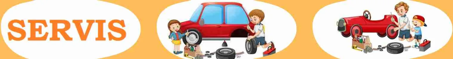 Servis Servis
